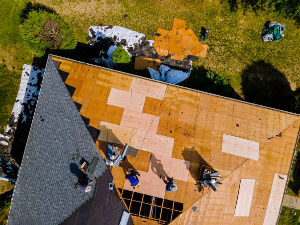 Roof Gutter Cleaning in Heath, TX